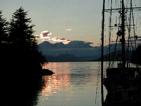 Elfin Cove