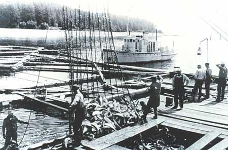 alaska photo